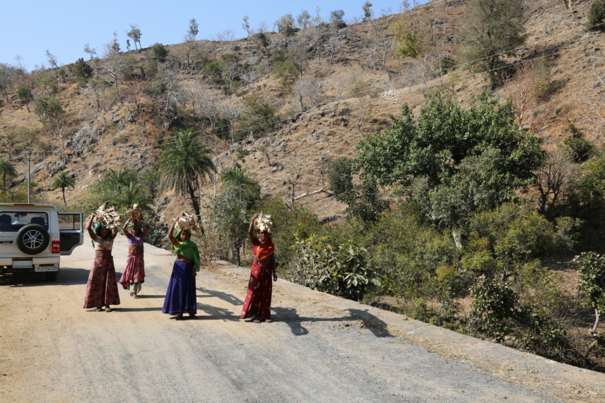 Photo of four indigenous Bhil women walking on asphalt, with headloads of fuelwood. They are wearing colorful clothes. In the background, we can see a white jeep and a hill with trees.