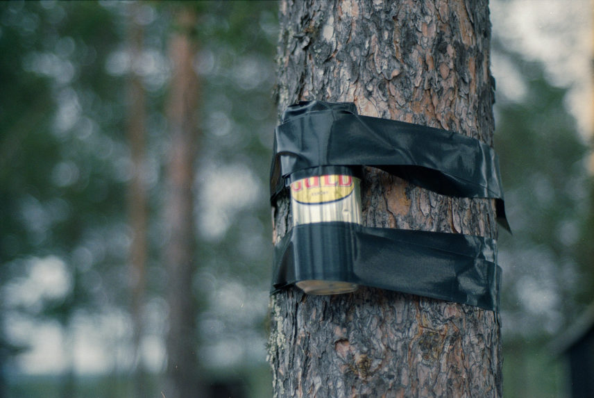 Photograph of a can taped to a tree.