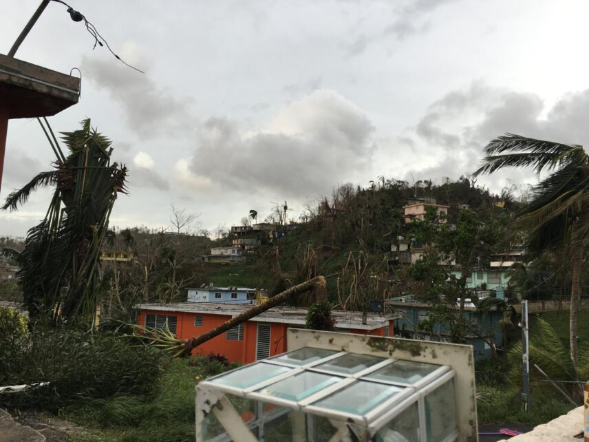 Photograph taken outdoors showing damage done by a hurricane