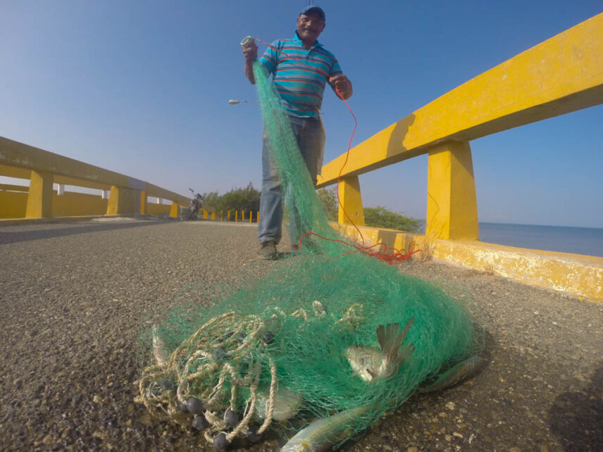 A picture of a fisherman displaying his catch