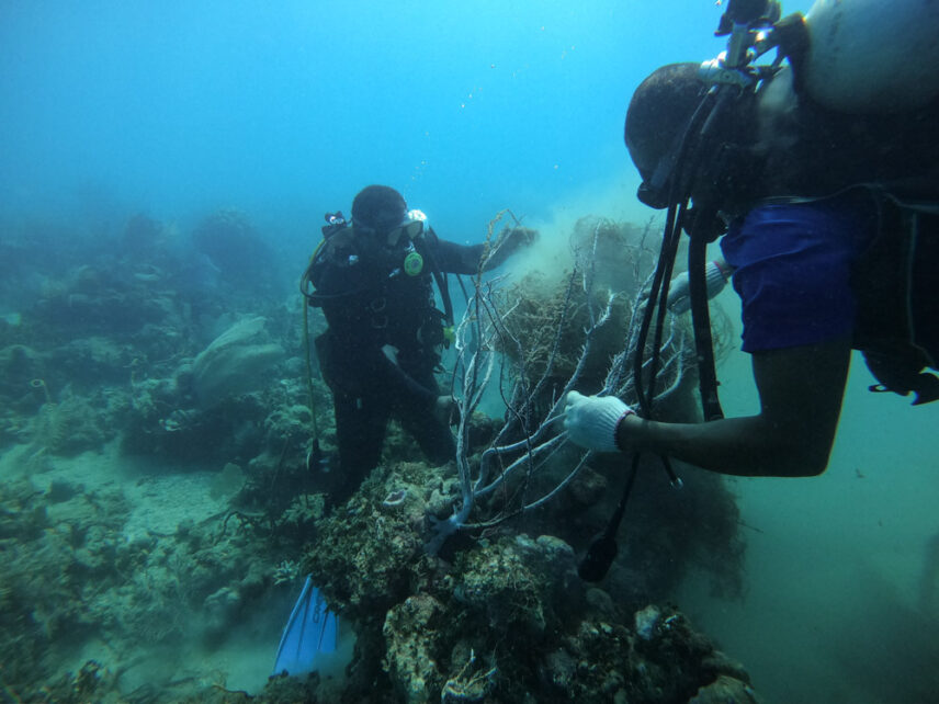 Photograph of two divers trying to disentangle net from a sea coral structure.