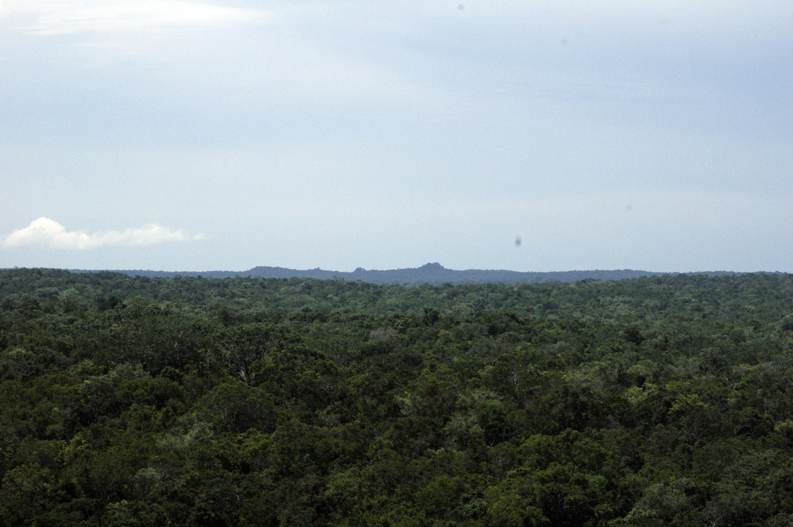 The photograph shows the green dense forest surrounding the Preclassic site of Nakbé which can be seen in the horizon from El Mirador’s La Danta pyramid.