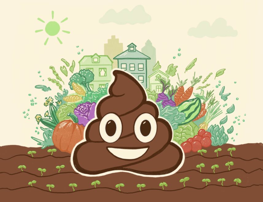 Illustration of a poop emoji in a garden
