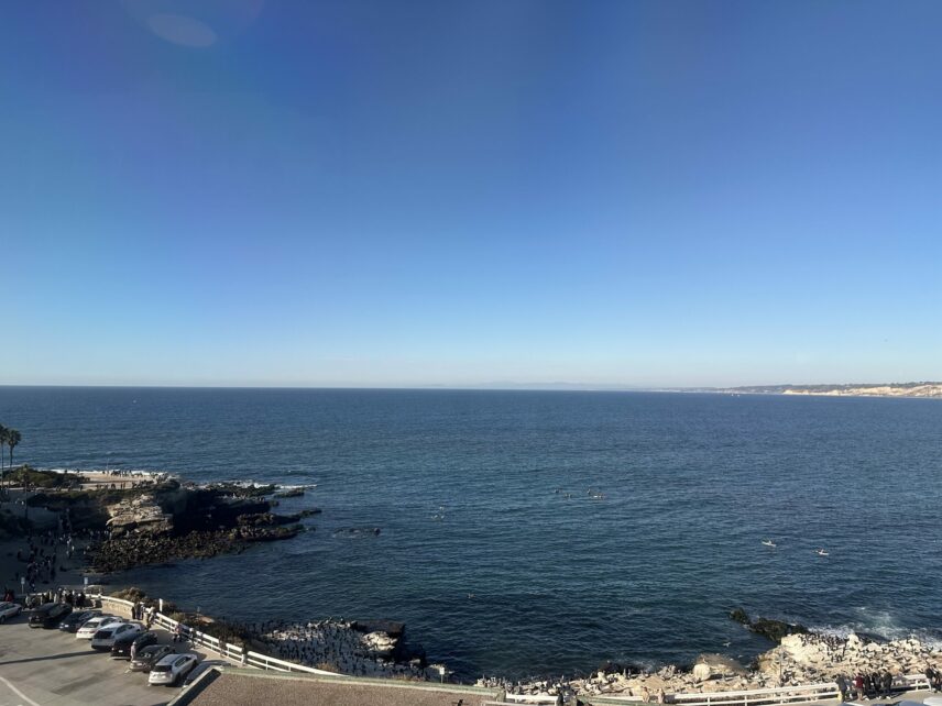 A beach in La Jolla