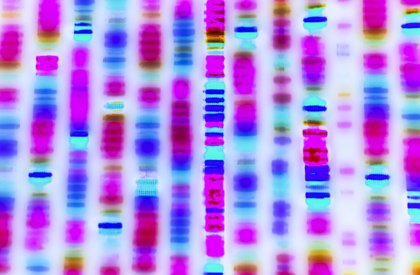 Graphic representation of the DNA sequence.