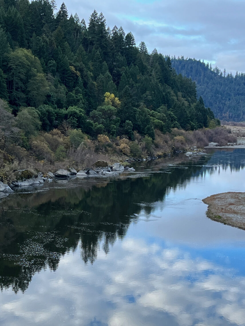 Winter in the Klamath River region, willows in dormancy.
