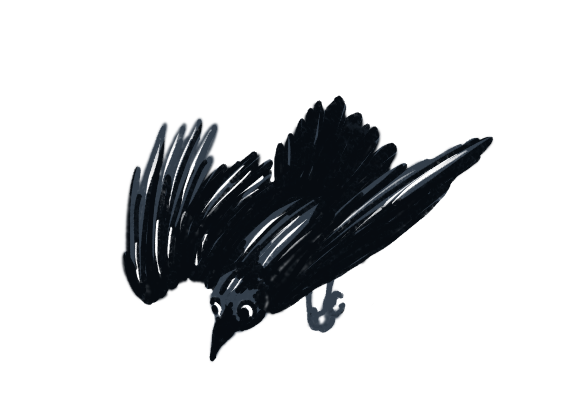 Illustration of a raven