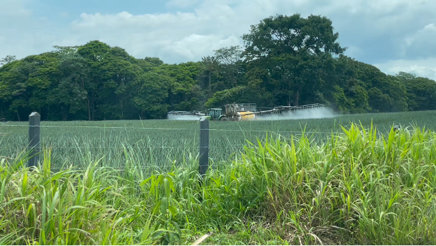 A large farm machine moves down a lush green field, heavily spraying what must be pesticides, a cloud of spray looming behind the machine.